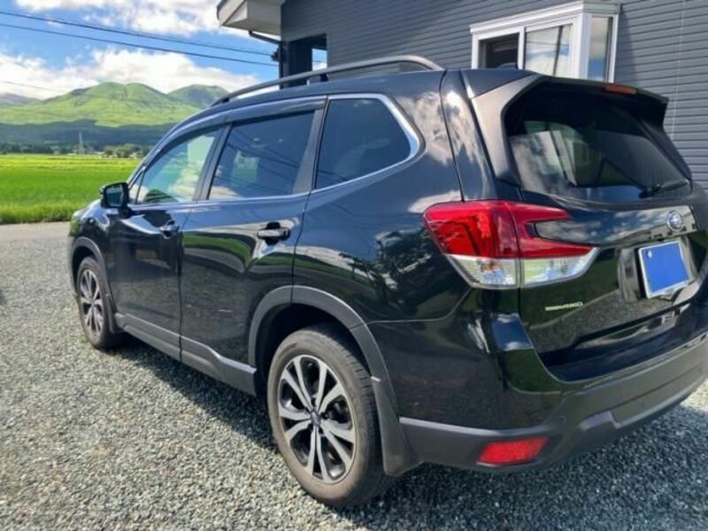 FORESTER
