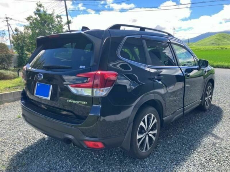 FORESTER