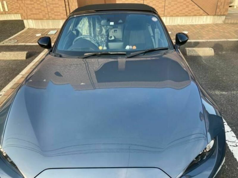 ROADSTER