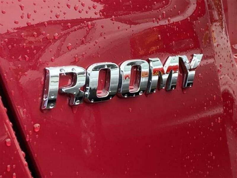 ROOMY