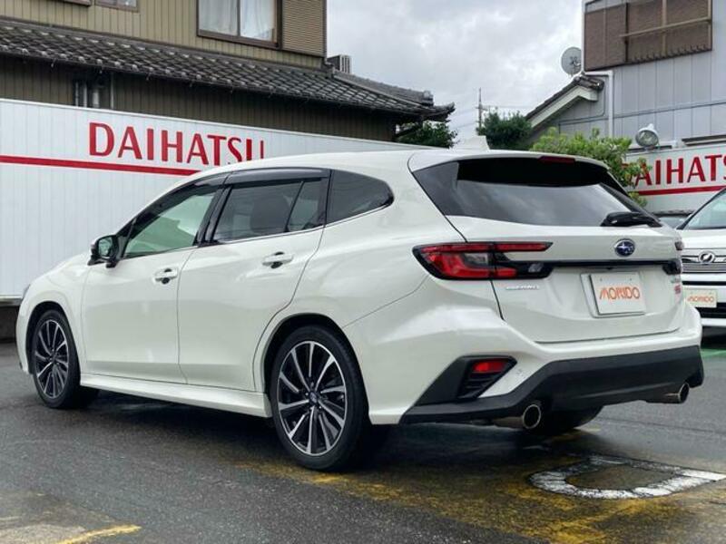 LEVORG