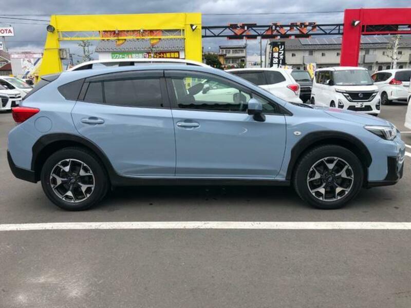 XV