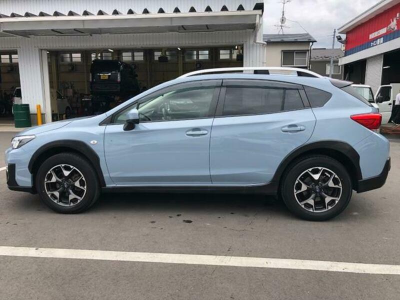 XV
