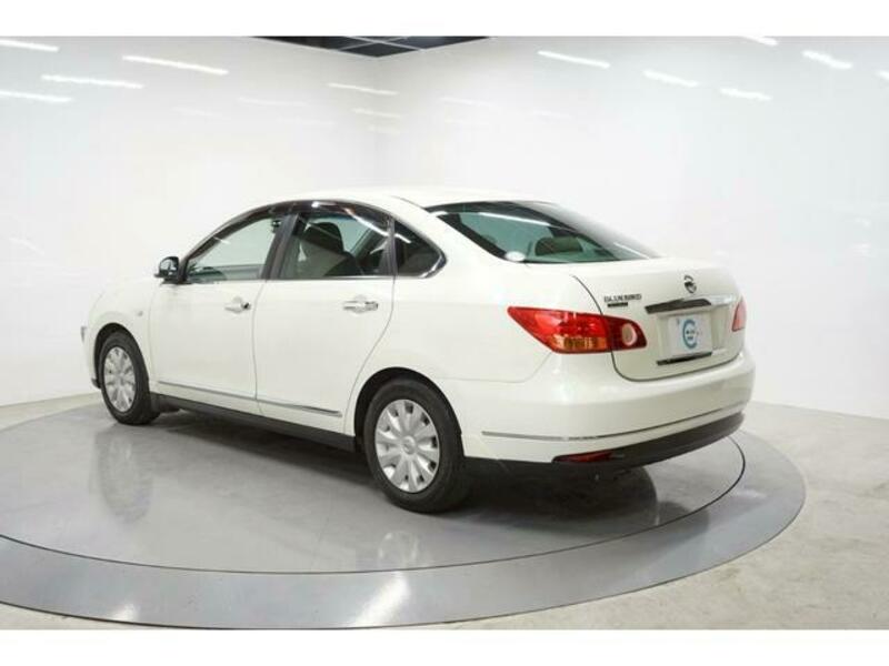 BLUEBIRD SYLPHY