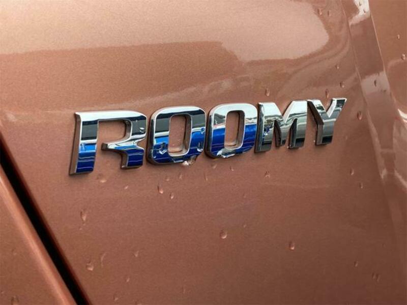 ROOMY