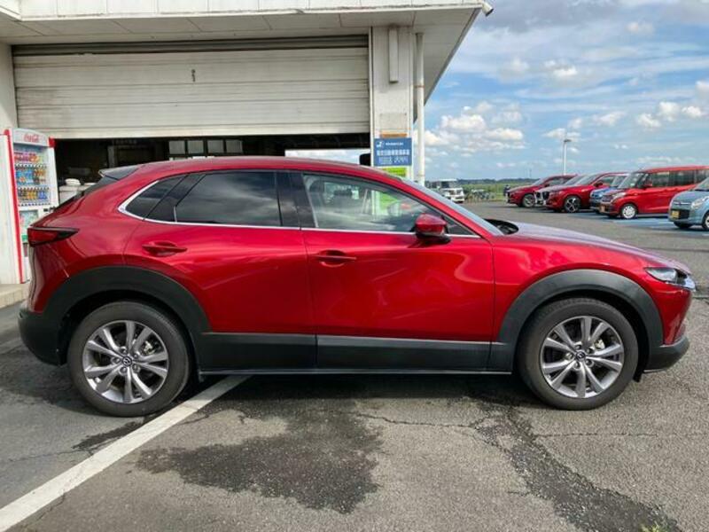 CX-30