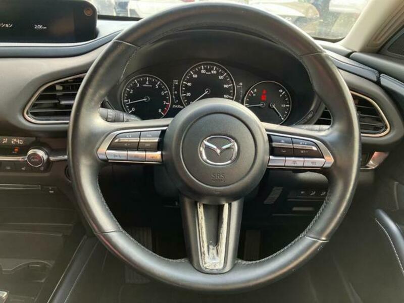 CX-30