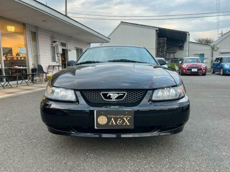 MUSTANG