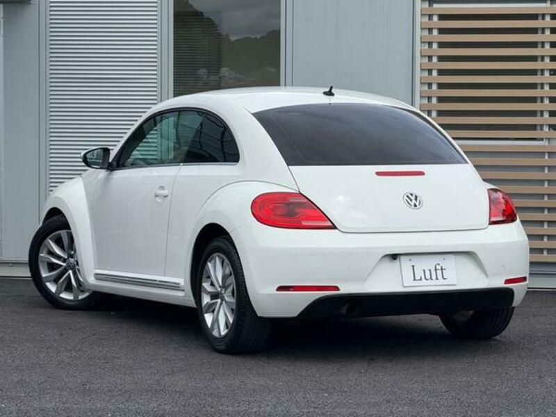 THE BEETLE
