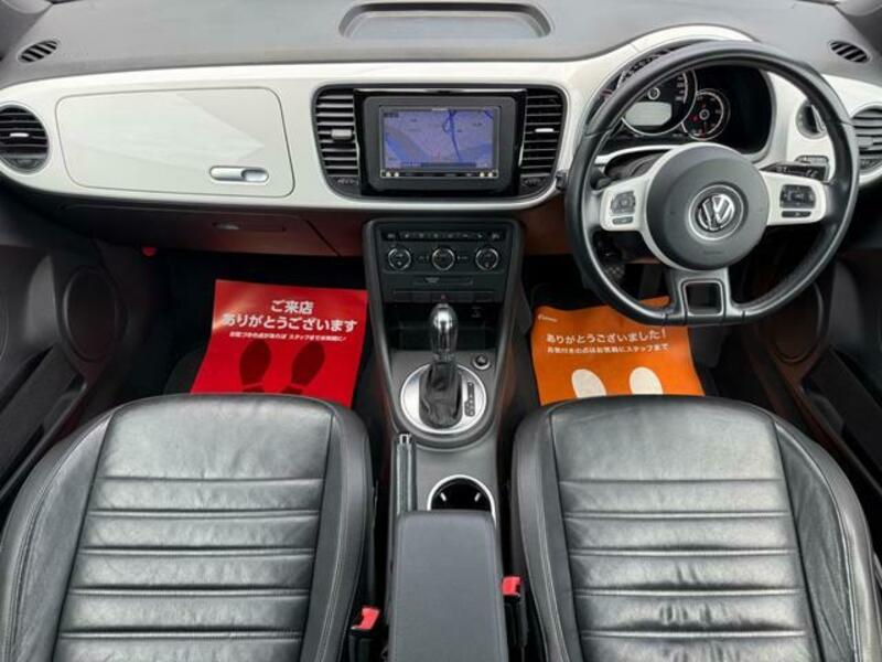 THE BEETLE