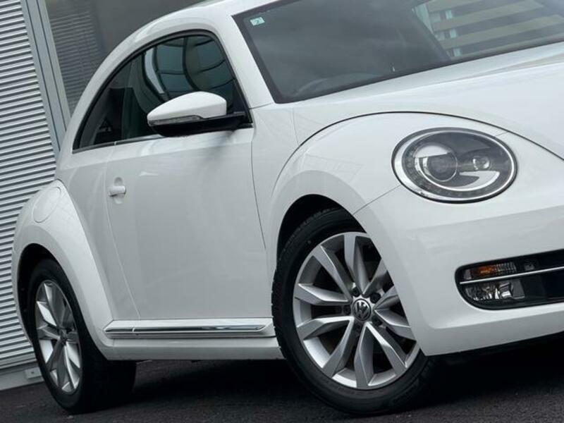 THE BEETLE