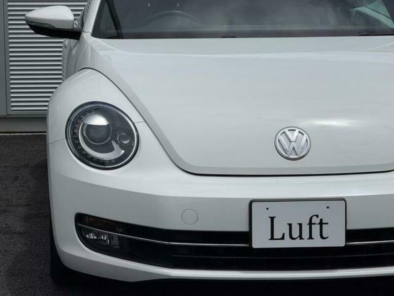 THE BEETLE