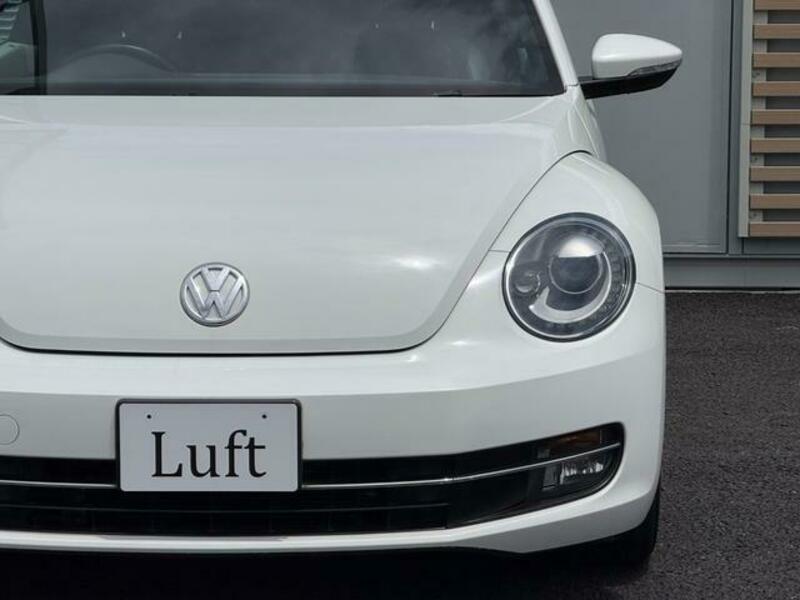 THE BEETLE