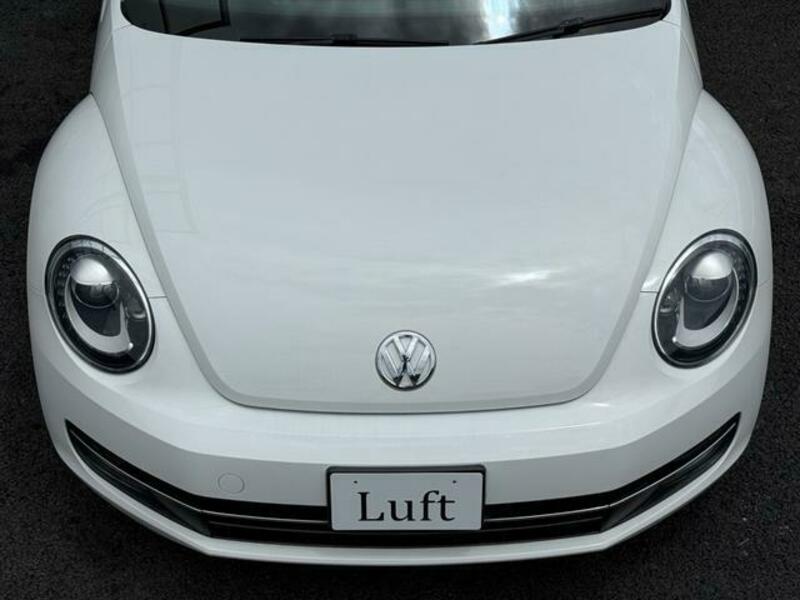 THE BEETLE