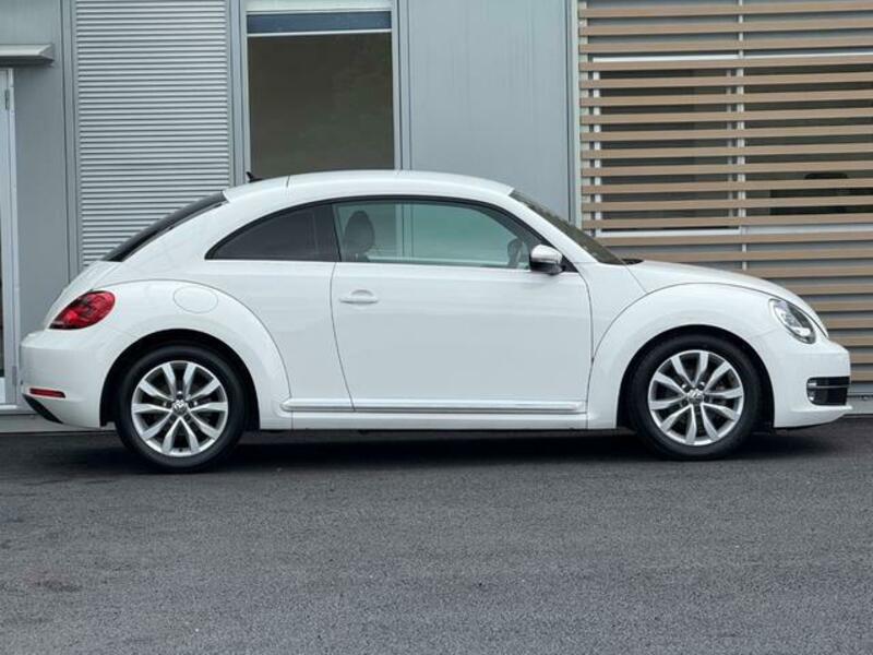 THE BEETLE