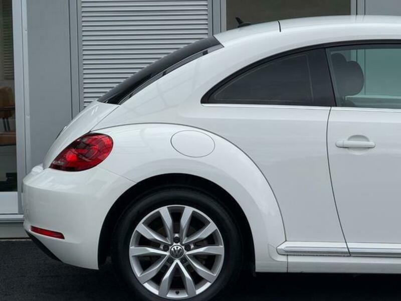 THE BEETLE