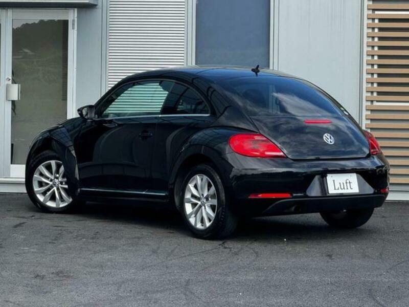 THE BEETLE