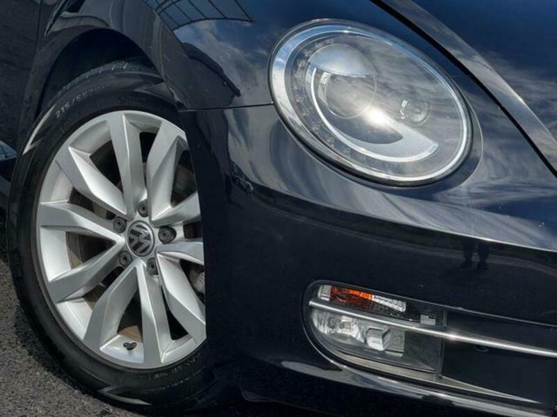 THE BEETLE