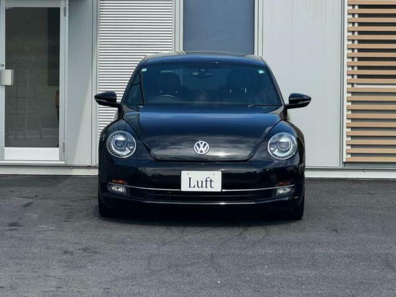 THE BEETLE