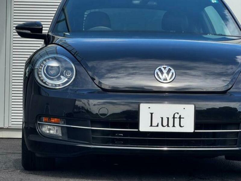 THE BEETLE