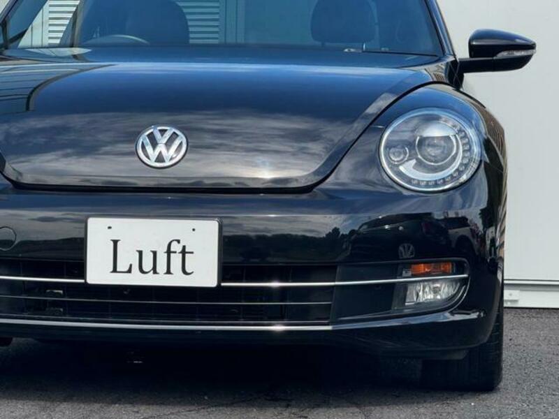 THE BEETLE