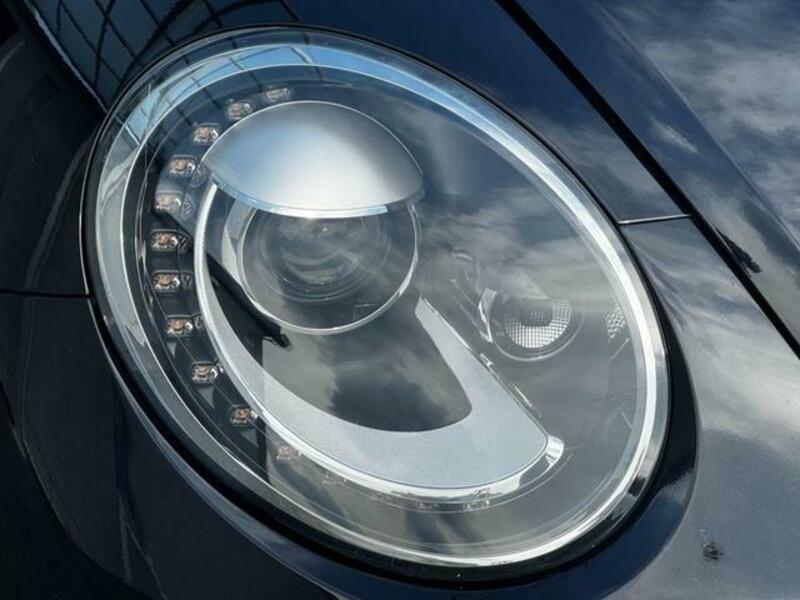 THE BEETLE