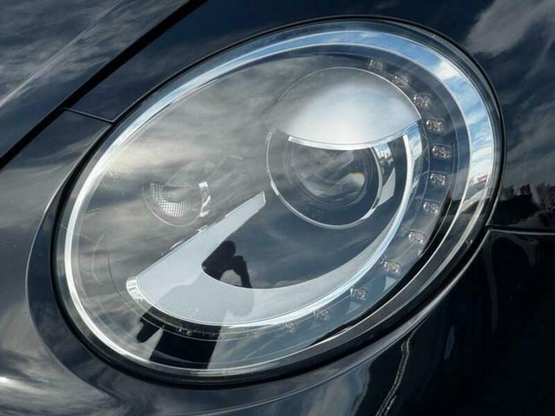 THE BEETLE