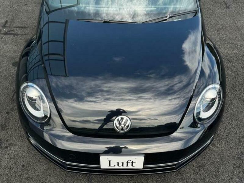 THE BEETLE