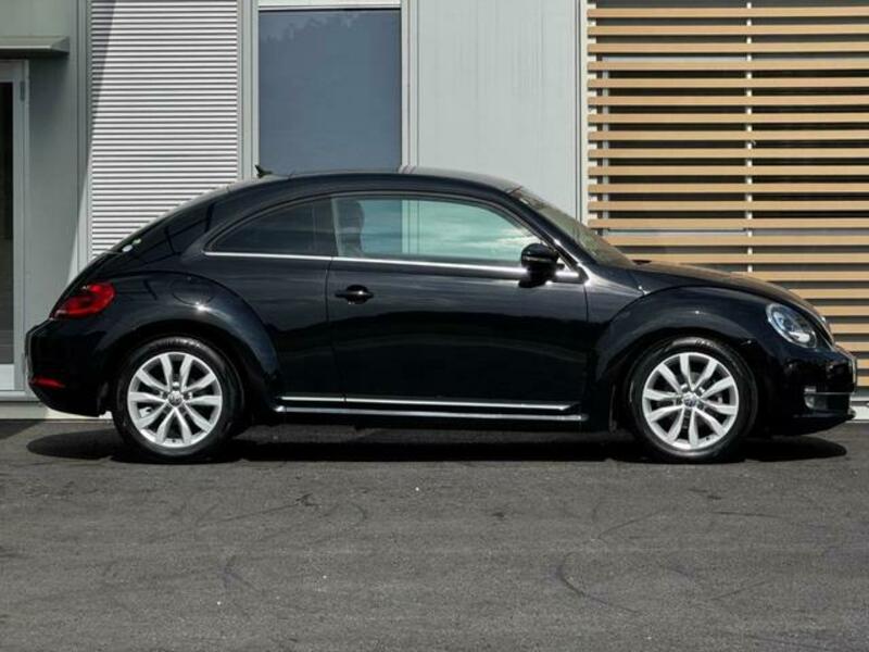 THE BEETLE