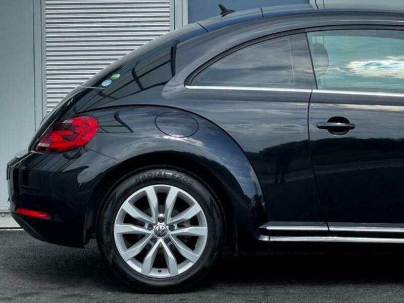 THE BEETLE