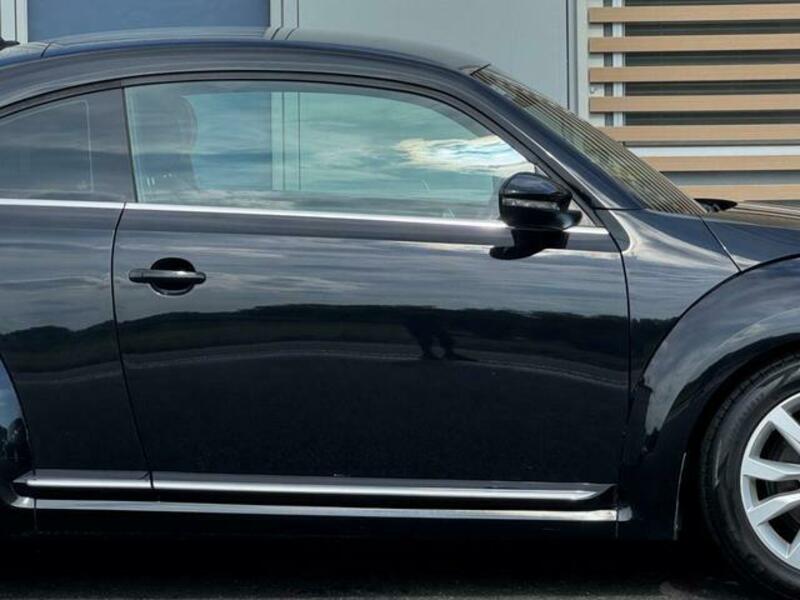 THE BEETLE