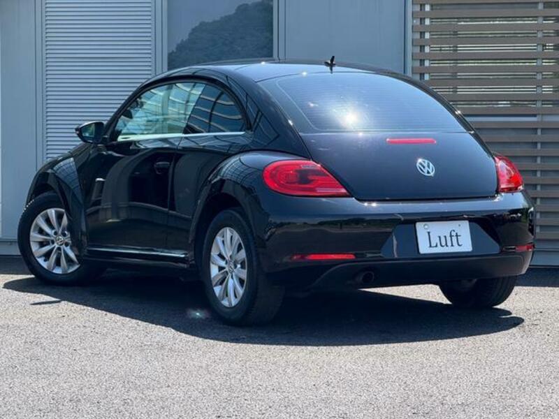 THE BEETLE