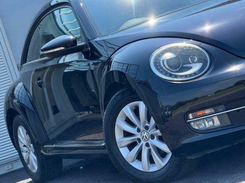 THE BEETLE