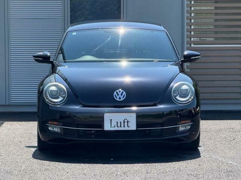 THE BEETLE