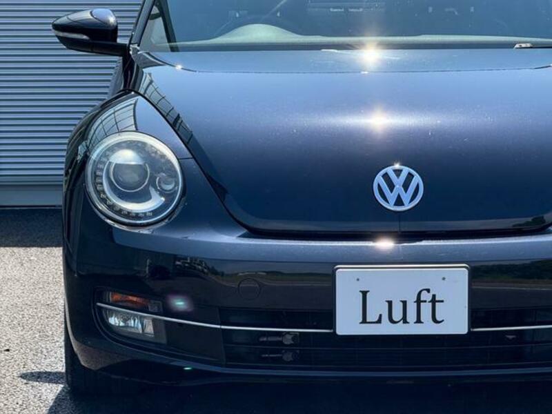 THE BEETLE