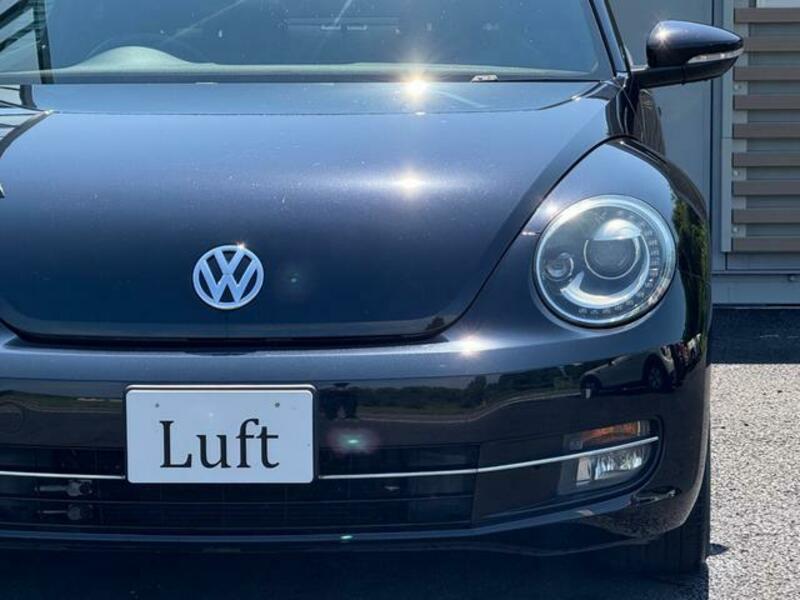 THE BEETLE