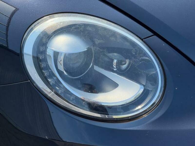 THE BEETLE