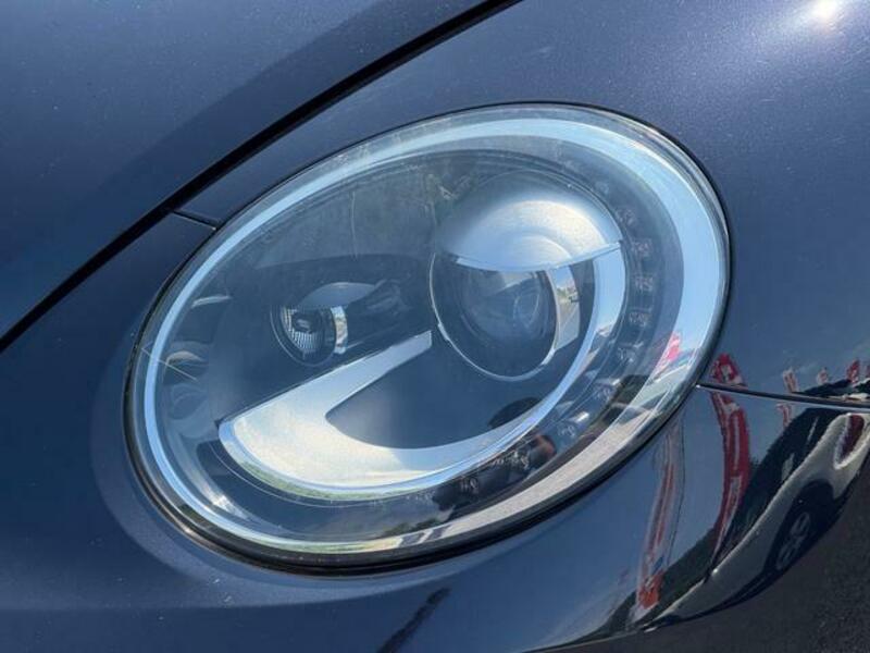 THE BEETLE