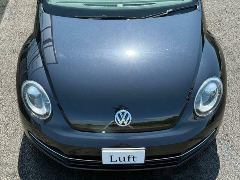 THE BEETLE