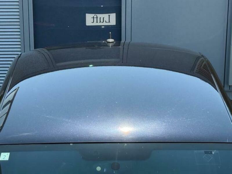 THE BEETLE
