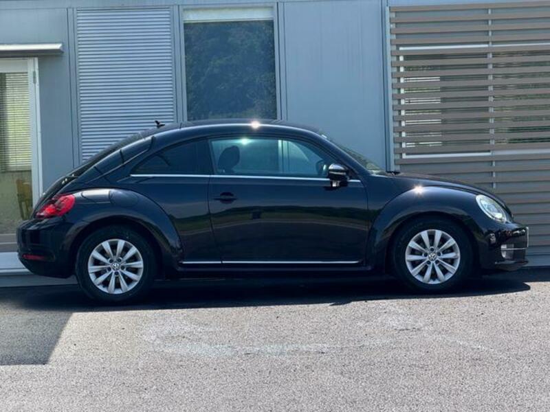 THE BEETLE