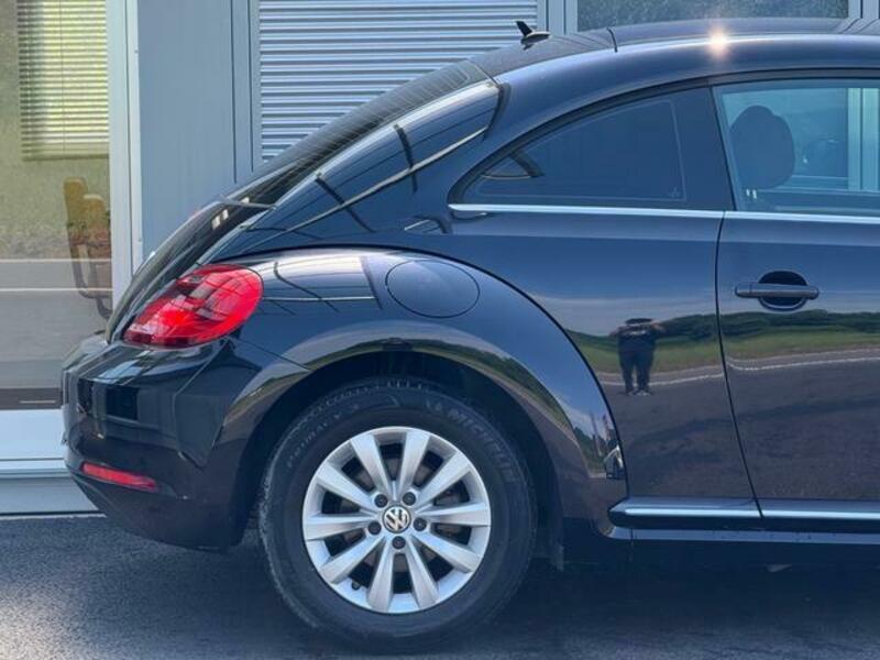 THE BEETLE