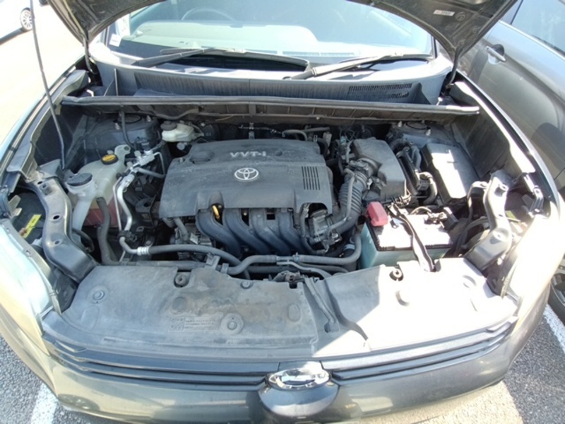 COROLLA RUMION
