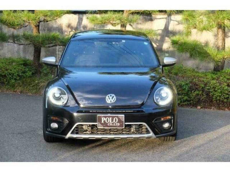 THE BEETLE