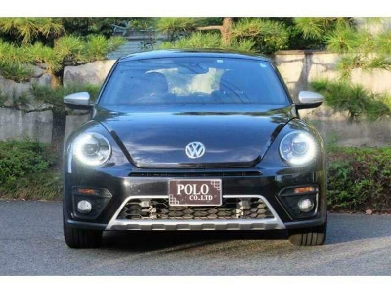 THE BEETLE
