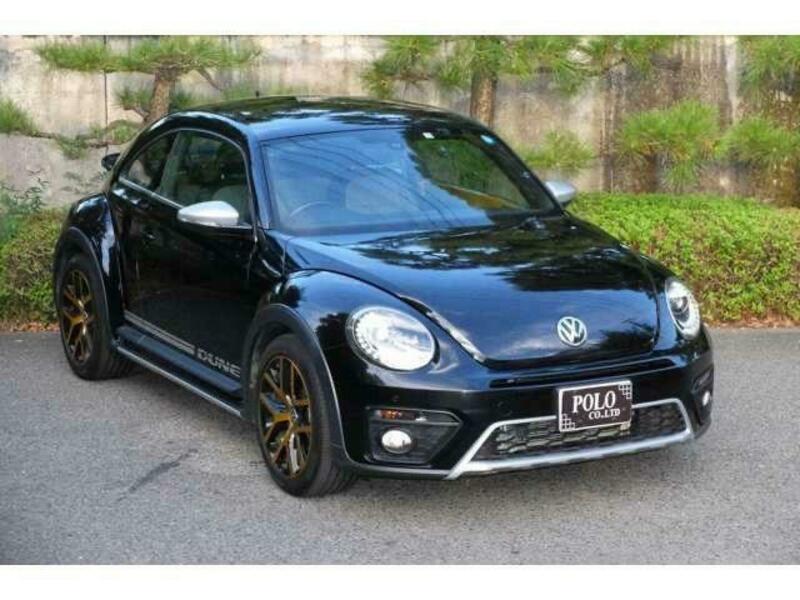 THE BEETLE