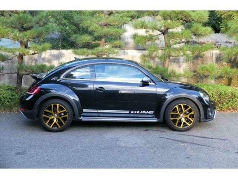 THE BEETLE