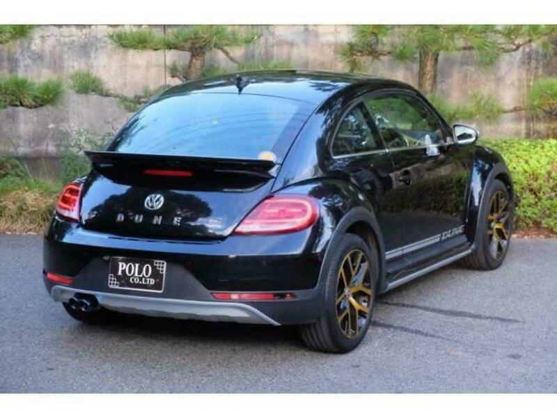 THE BEETLE