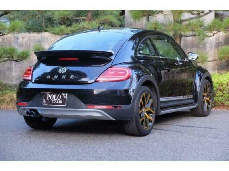 THE BEETLE
