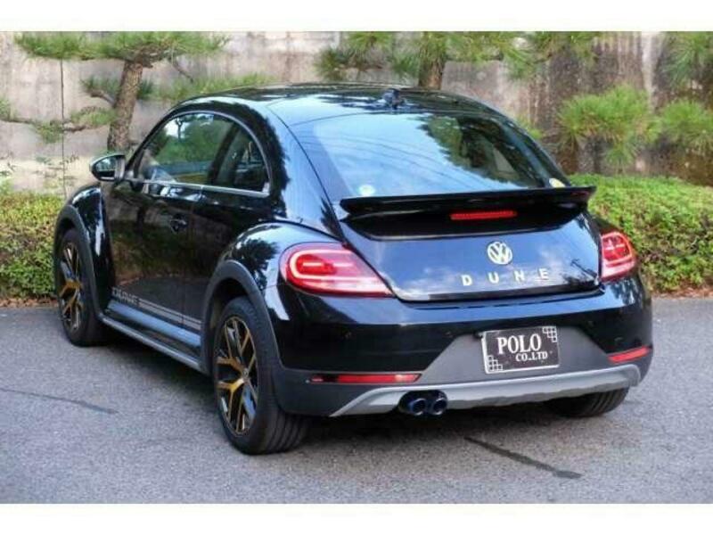 THE BEETLE